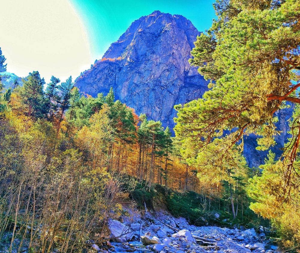 Photograph by Элеонора Цаллаева