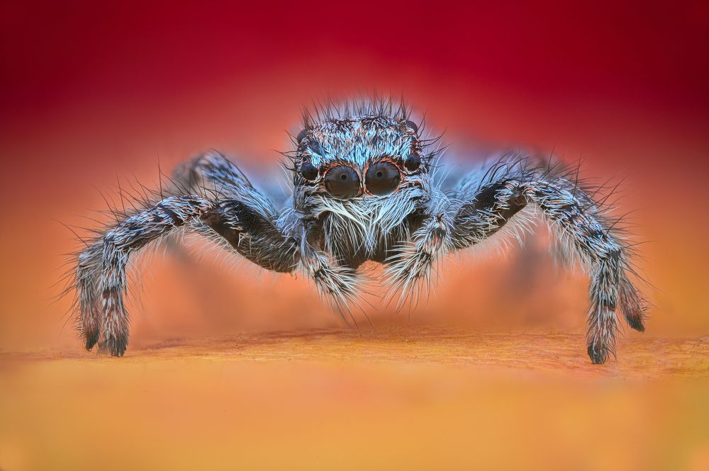 Photograph by Ganev Tsvetan