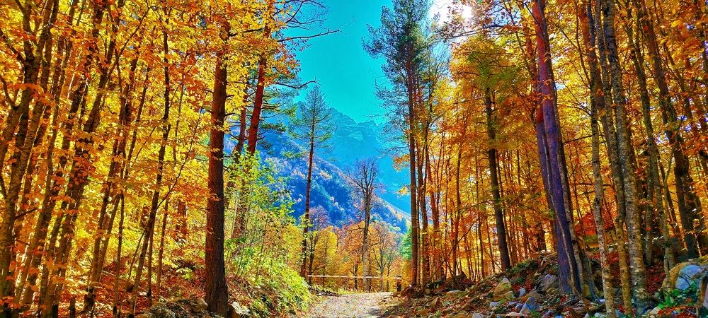 Photograph by Элеонора Цаллаева