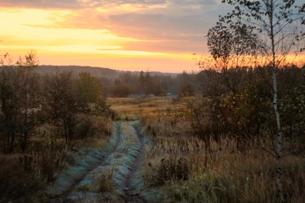 Photograph by Инна Карасева