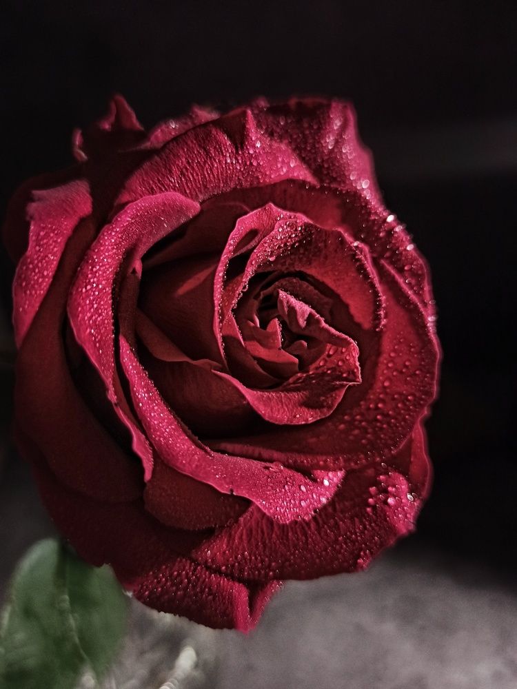 Photograph by Дина Полухина