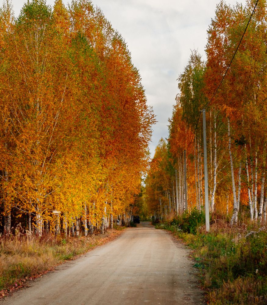 Photograph by Елена Куртеева