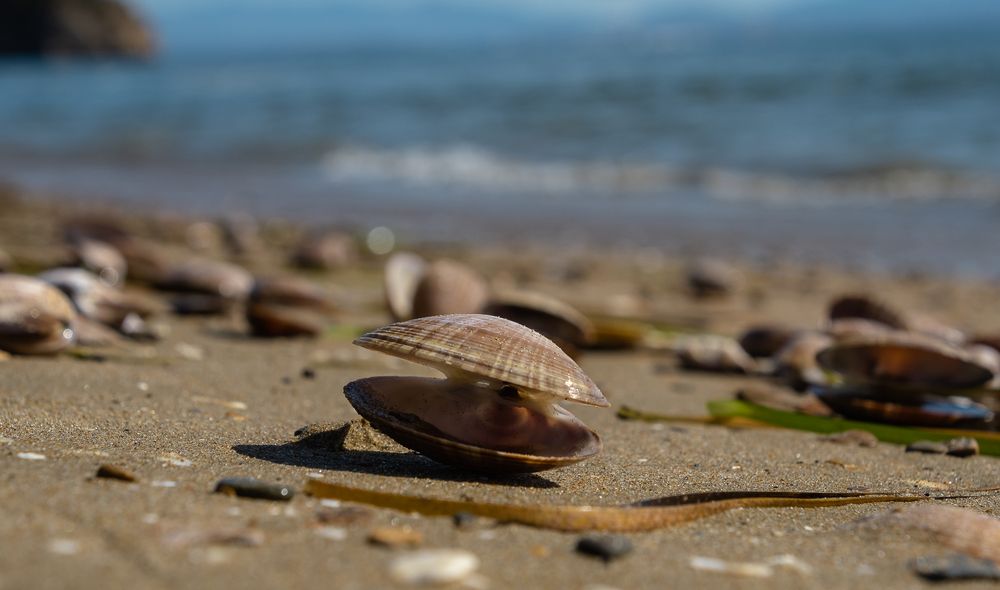 Photograph by Олег Волков