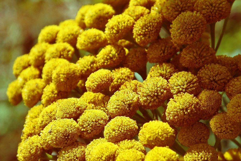 Photograph by Светлана Иванова