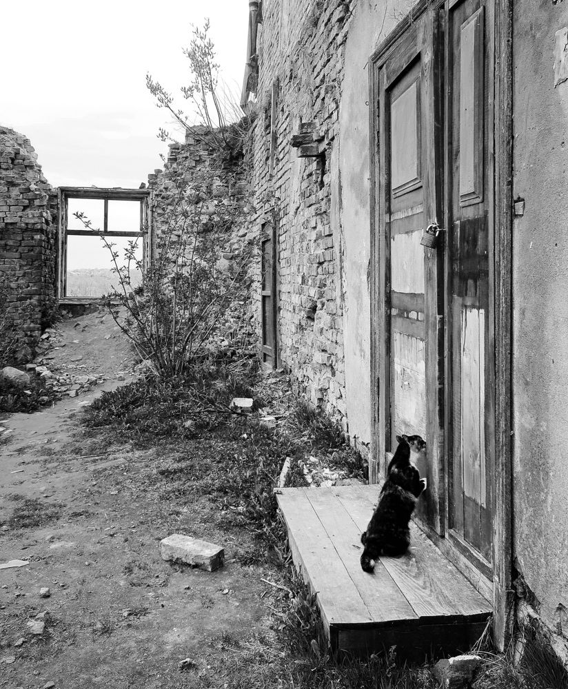 Photograph by Ольга Стоун