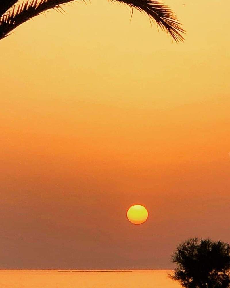 Photograph by Теодора Милекич