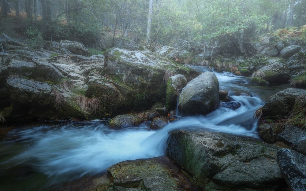 Photograph by Jesús casero