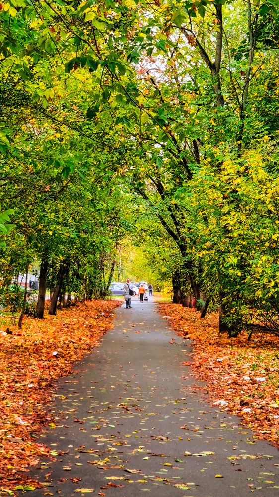 Фотография автора Всеволод Юрша
