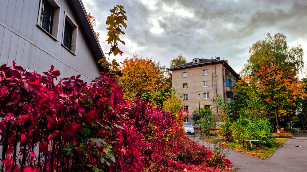 Фотография автора Всеволод Юрша