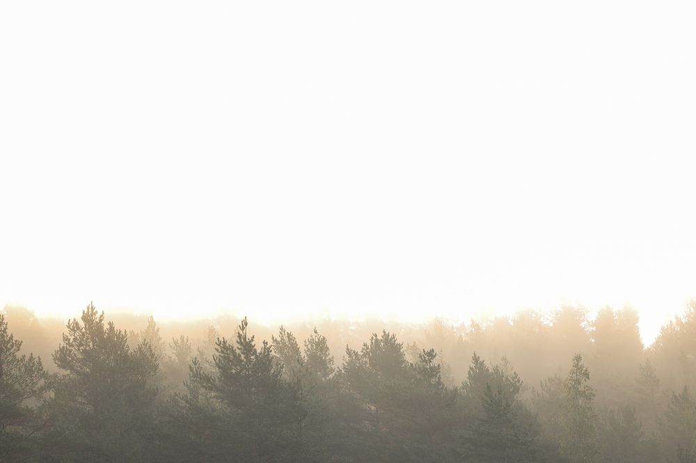 Photograph by Sergei Komlev