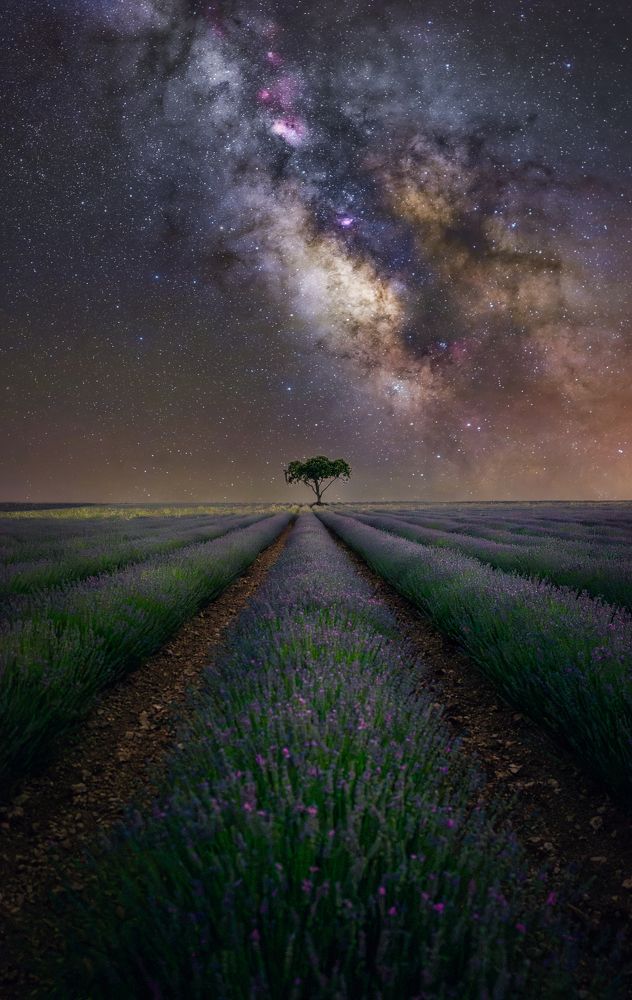 Photograph by Francisco Crusat