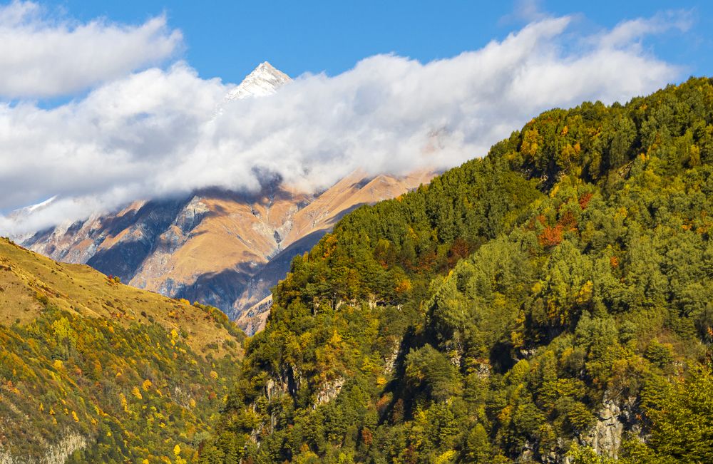 Photograph by Alex Kalpus