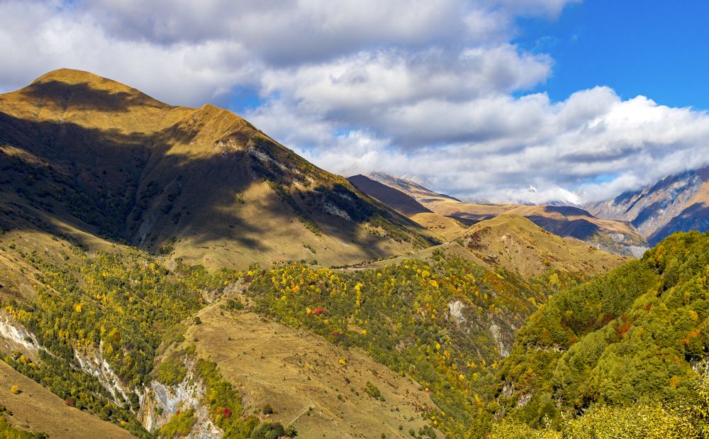 Photograph by Alex Kalpus