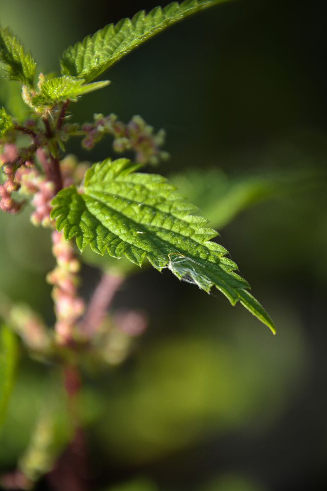 Photograph by Ольга Андронова
