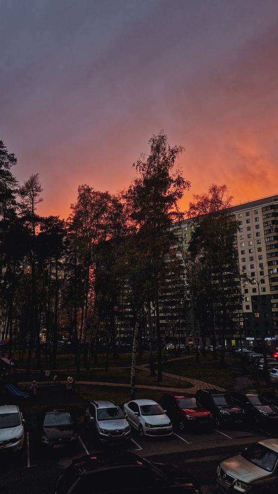 Фотография автора Всеволод Юрша