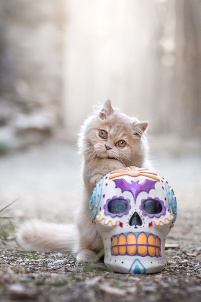 Photograph by Natalia Hidalgo