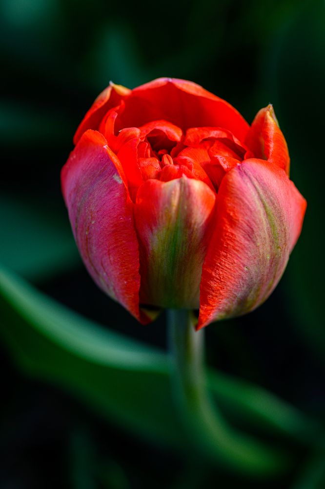 Photograph by Елена Берсенёва