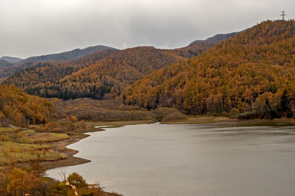 Photograph by Максим Тыщенко