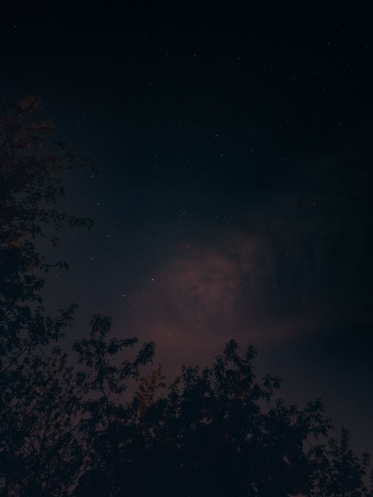 Фотография автора Всеволод Юрша