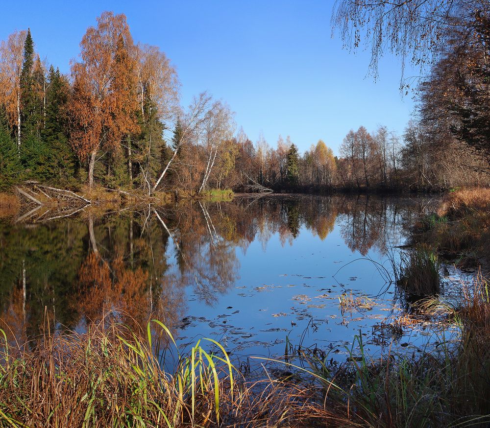 Photograph by Олег Фокин