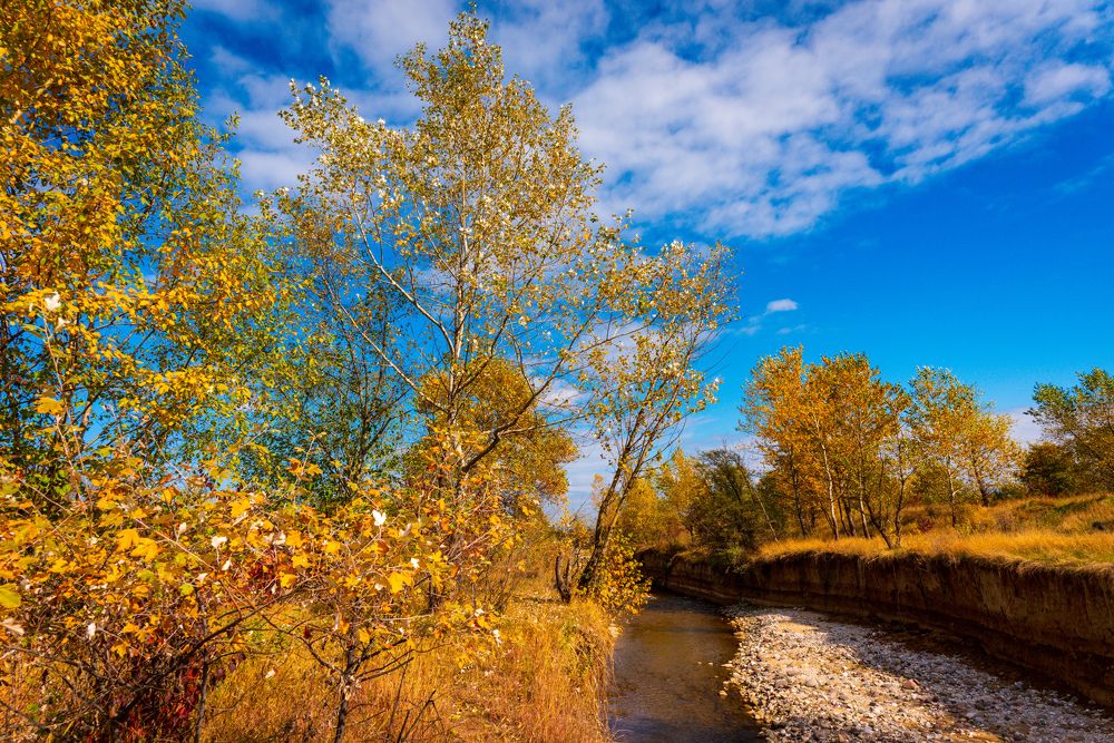 Фотография автора Дмитрий Referee