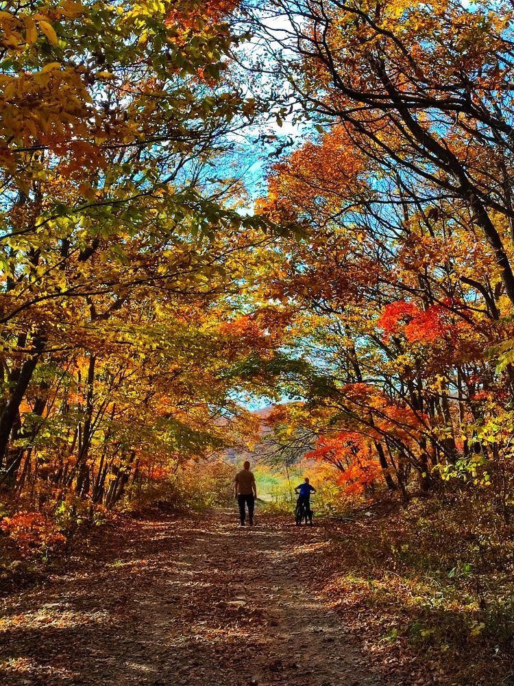 Photograph by Валентина Куцерук