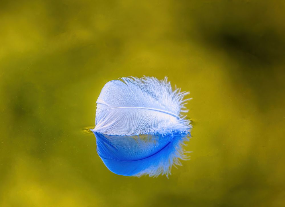 Photograph by Aleš Maučec