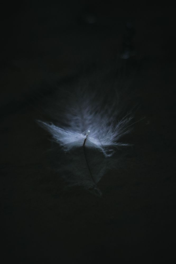 Photograph by Dewindu H. Fernando