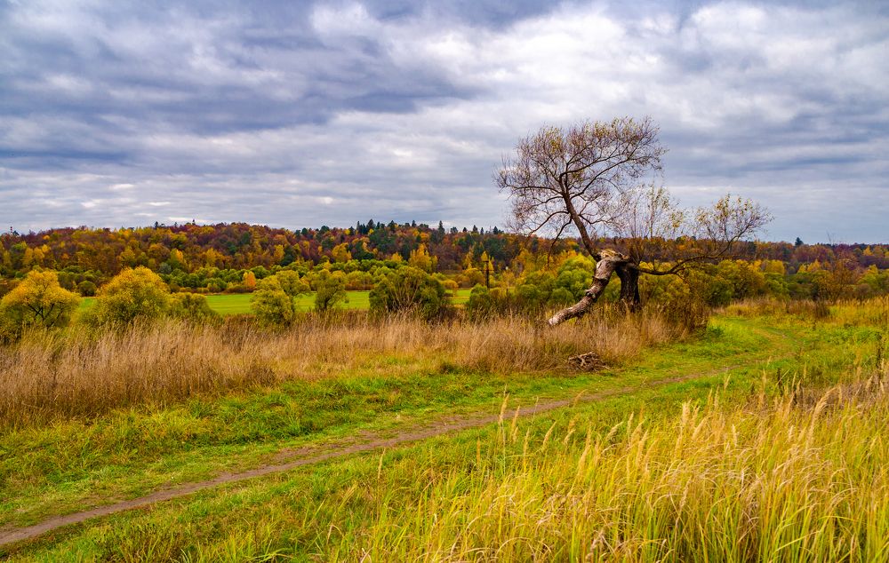Фотография автора Юрий Баклыков