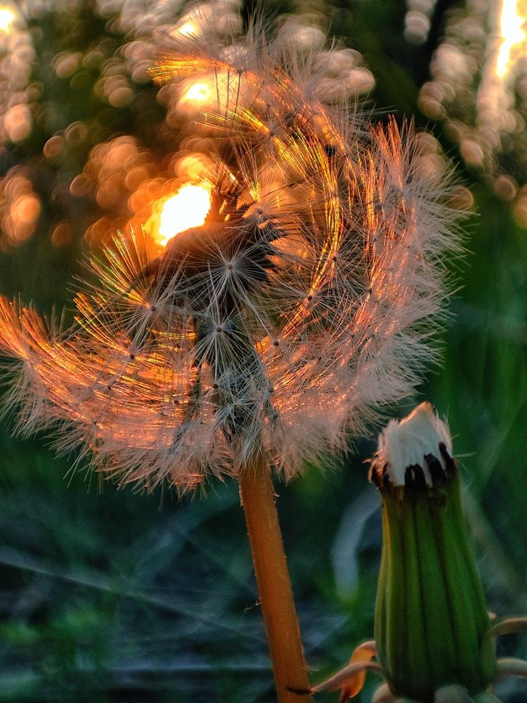 Photograph by Валентина Куцерук