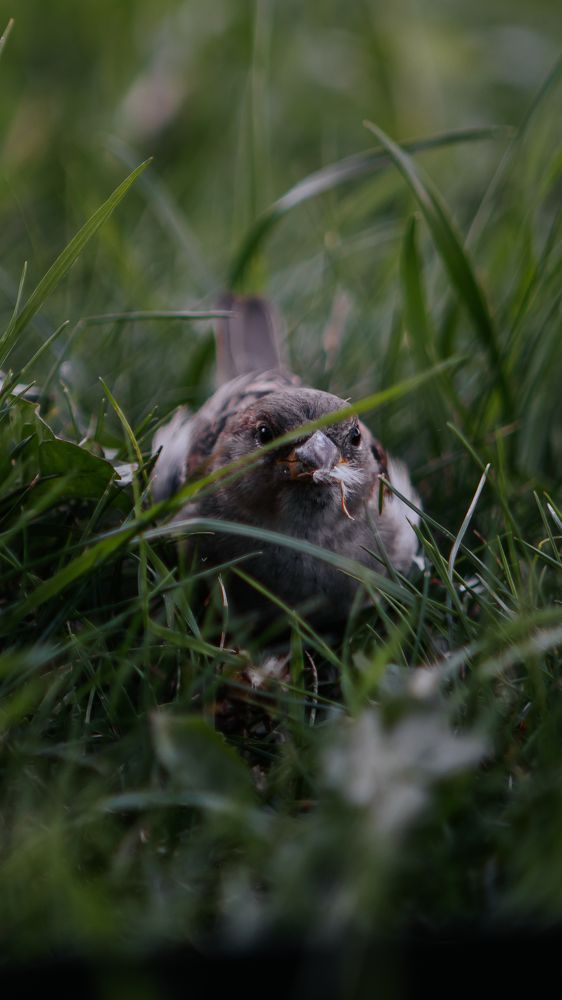 Photograph by Margachev Aleksandr