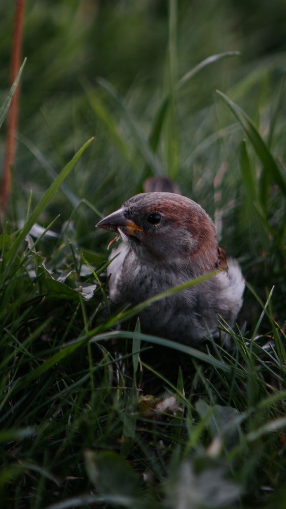 Photograph by Margachev Aleksandr