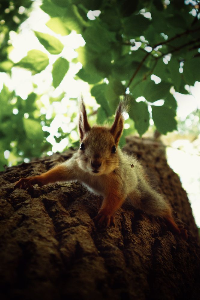 Photograph by Margachev Aleksandr