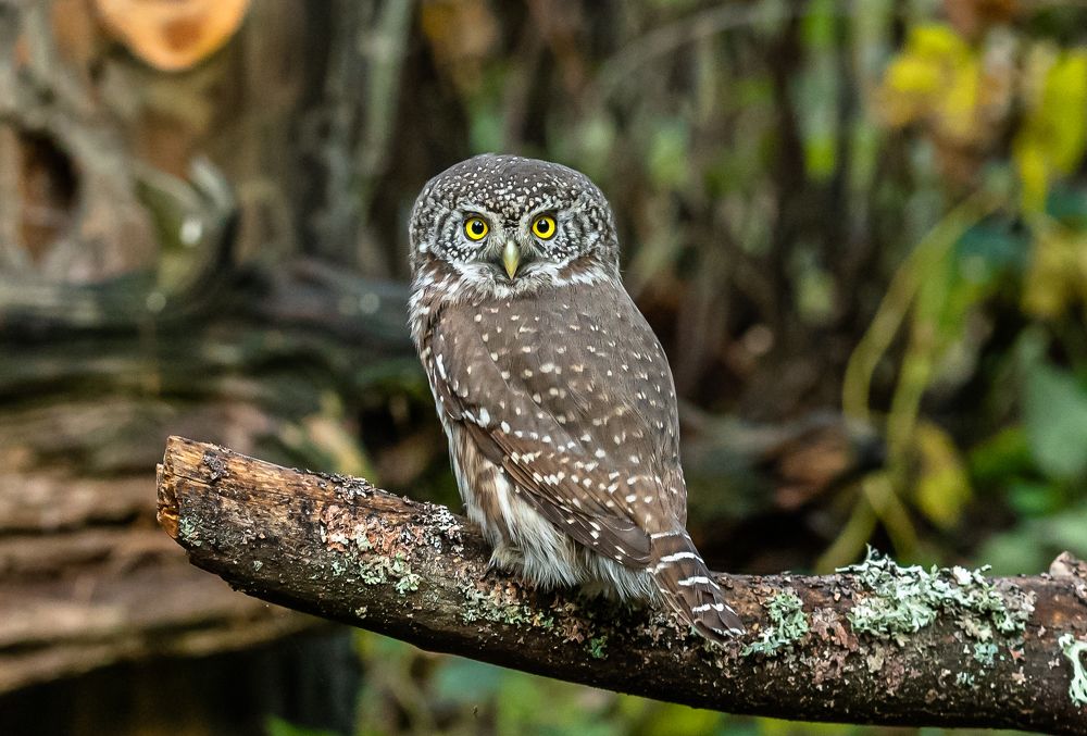 Photograph by Александр