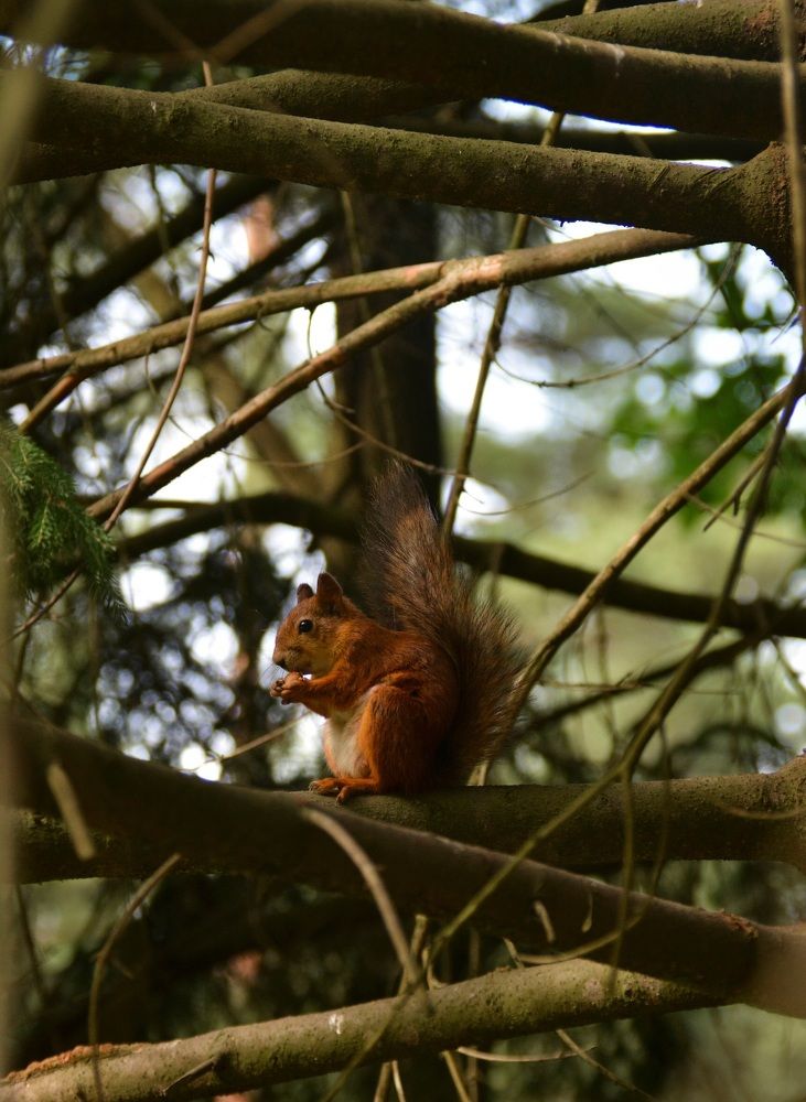 Photograph by Ирина Кучеренко