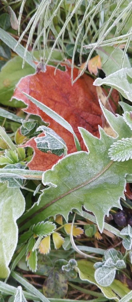 Photograph by Олеся Жакова