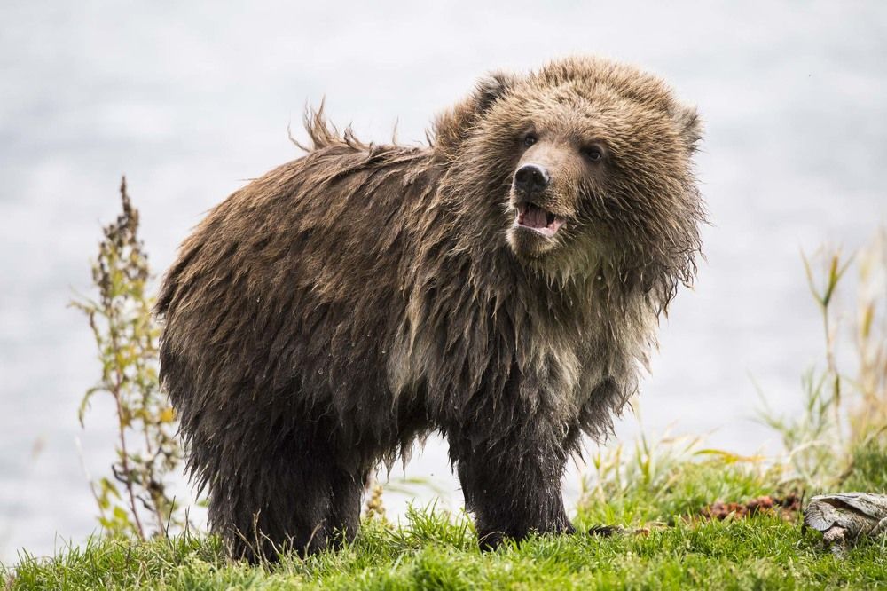 Photograph by Алексей Шаскольский