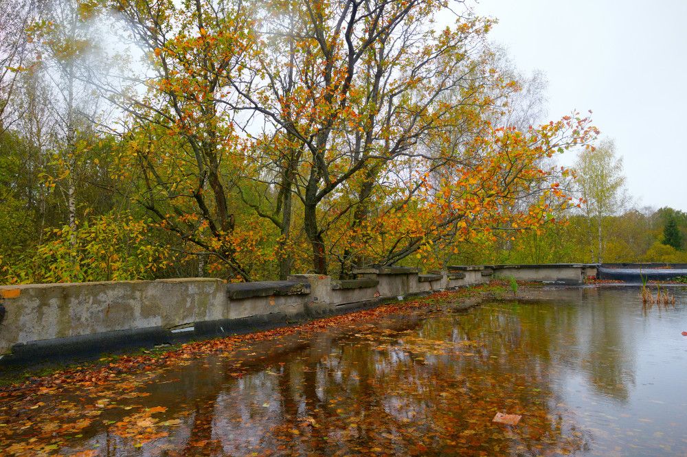 Photograph by Дмитрий Романов