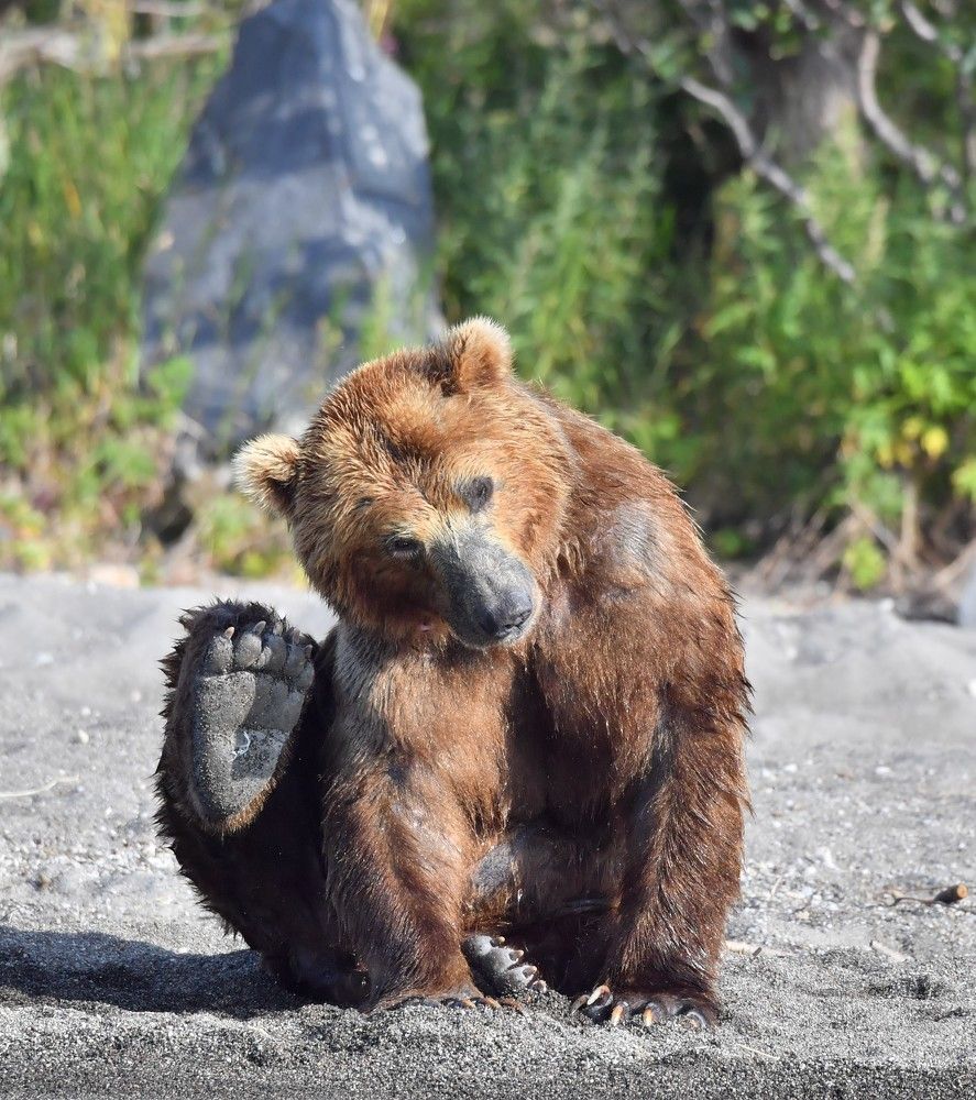 Photograph by Алексей Шаскольский