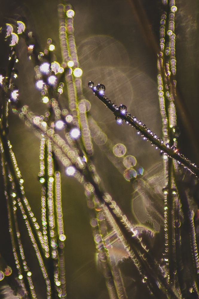 Photograph by Angelina Bukina