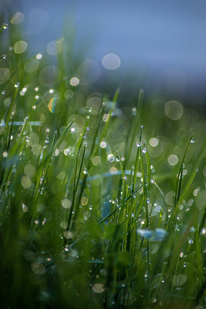 Photograph by Angelina Bukina