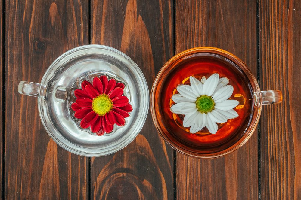 Фотография автора Виталий Панченко