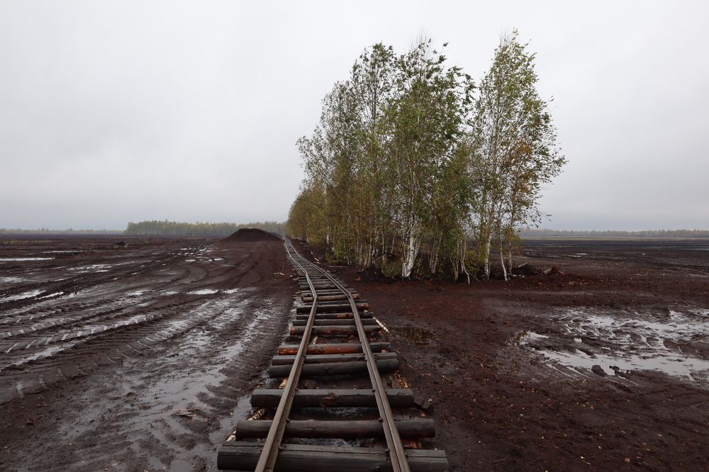 Photograph by Дмитрий Романов