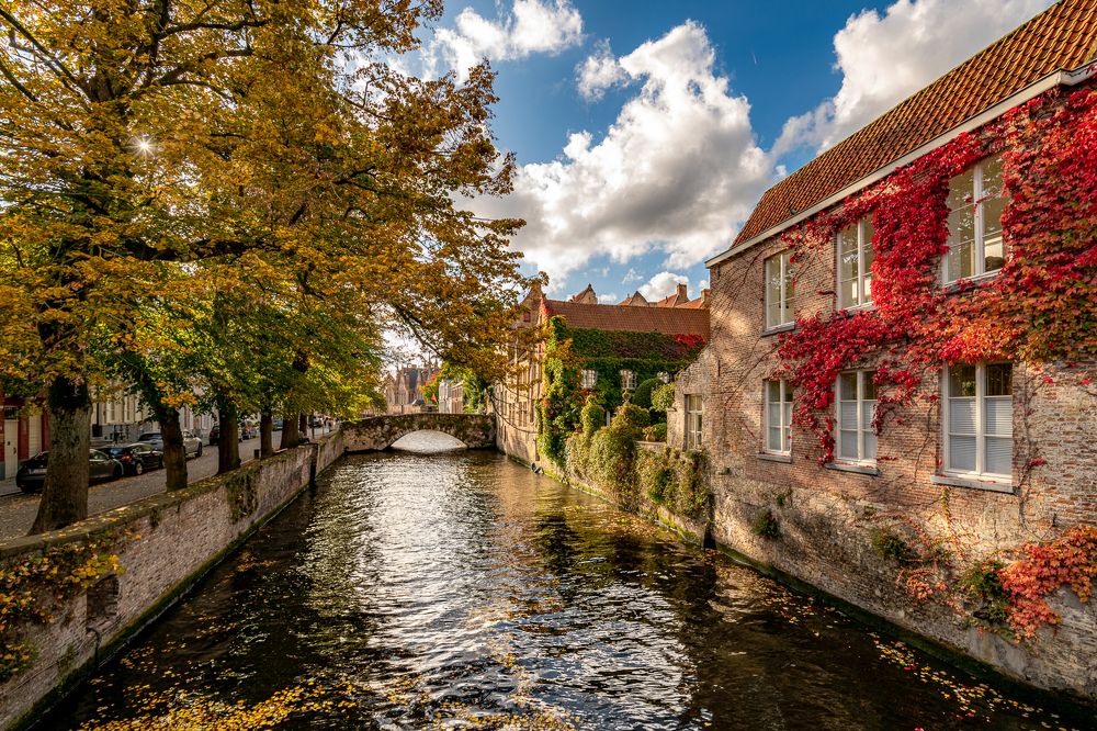 Фотография автора Дмитрий Потапов