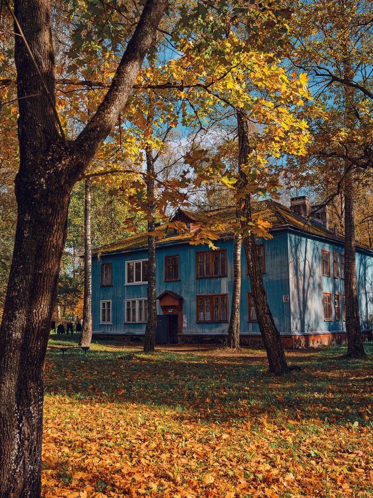 Photograph by Дмитрий Дыбов