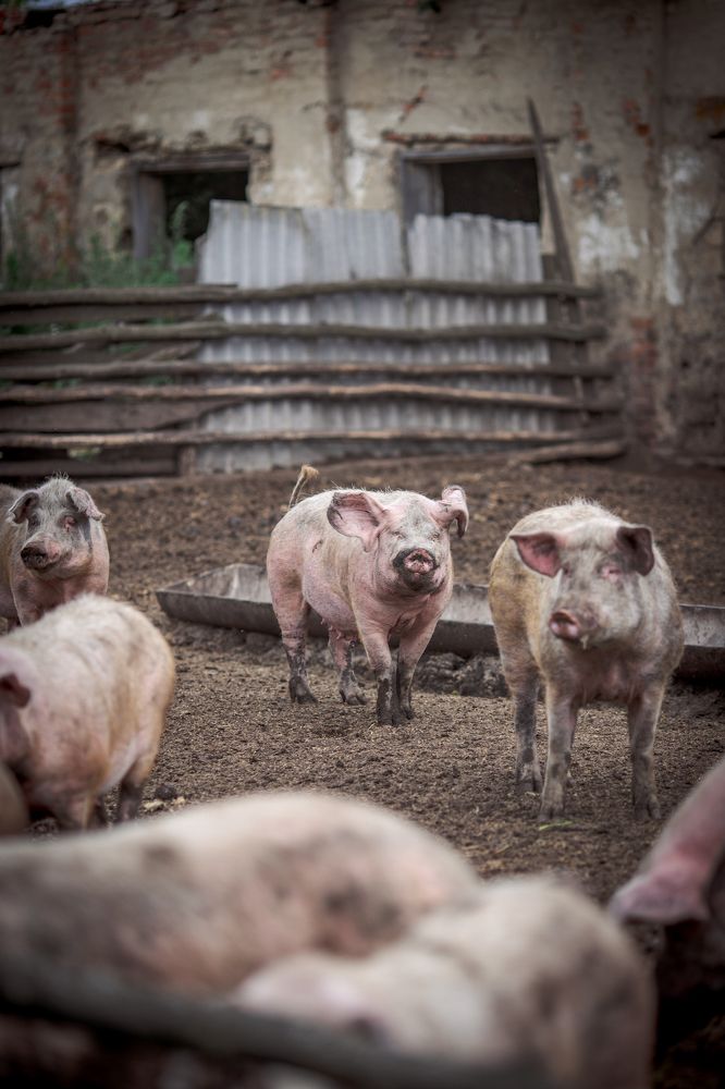 Photograph by Angelina Bukina