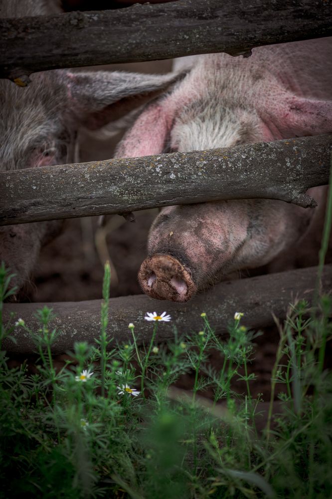 Photograph by Angelina Bukina