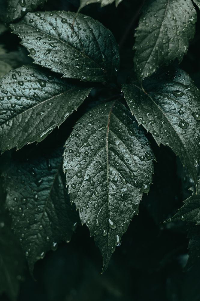 Photograph by Остапенко Алина