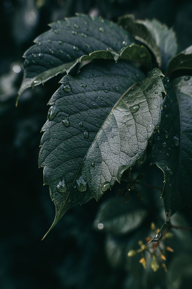 Photograph by Остапенко Алина