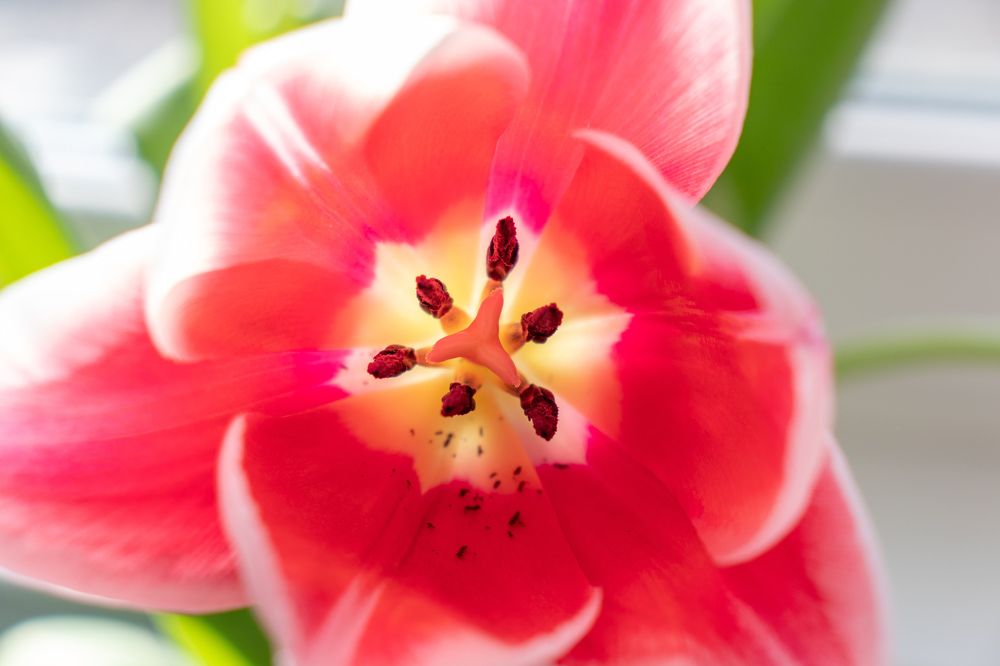 Фотография автора Виталий Панченко